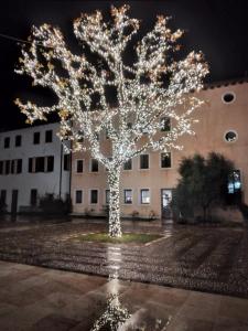 un árbol decorado con luces frente a un edificio en Ostello Europa, en San Vito al Tagliamento