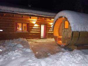 Ferienhaus - Chalet - Lechtraum during the winter