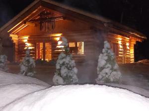 Ferienhaus - Chalet - Lechtraum during the winter