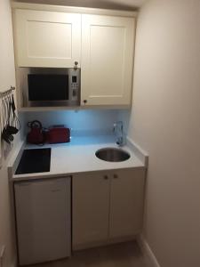 uma pequena cozinha com um lavatório e um micro-ondas em The Shepherd's Lodge em Tullyallen
