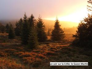 eine Gruppe von Bäumen auf einem Hügel mit Sonnenuntergang im Hintergrund in der Unterkunft Le Chalet Bel Air in Oderen