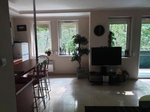 Televízia a/alebo spoločenská miestnosť v ubytovaní Apartament Maria
