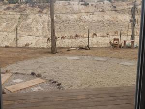 阿拉德Moonlight Suite Arad צימר אור הירח, ערד的相册照片