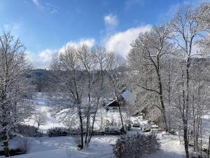 Šedivinské apartmány - rodinné apartmány v Orlických horách v zime