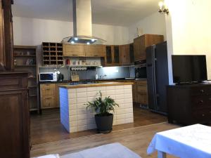 Kuchyň nebo kuchyňský kout v ubytování Dom Tkacki - Apartamenty - Pokoje - Jacuzzi