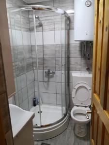 a bathroom with a shower and a toilet at Vikendica Ajla in Travnik +10 photos
