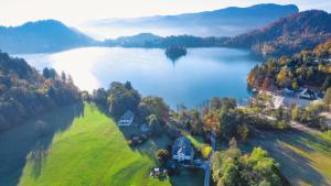 eine Luftansicht eines Hauses auf einer Insel in einem See in der Unterkunft Lake House Sebanc in Bled