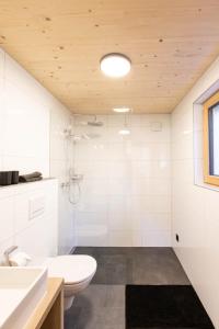 a bathroom with a white toilet and a sink at Masura Cabins in Bürserberg
