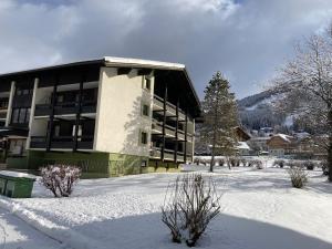 Appartementanlage Bach v zime