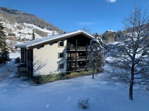 Appartementanlage Bach v zime