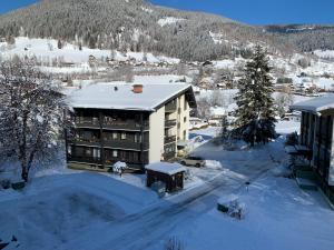 Appartementanlage Bach v zime