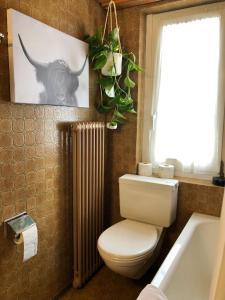 a bathroom with a toilet and a radiator and a picture of a bull at Chalet Pironnet with BEST Views, Charm and Comfort! in Lauterbrunnen +37 photos