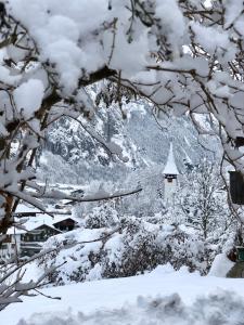 Chalet Pironnet with BEST Views, Charm and Comfort! durante o inverno