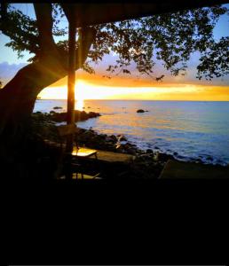 Pointe aux Sable的住宿－Bienvenue au Beau Rivages，海滩上树木的日落美景