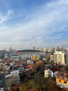 a view of a city with buildings in the background at OTHER STORIES / Palas Retreat in Iaşi