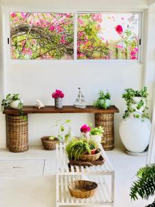 une chambre avec des plantes en pot sur une étagère et une fenêtre dans l'établissement Hotel Boutique Pachamama, à Mahahual