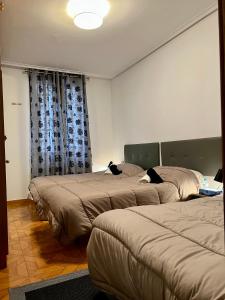 dos camas en una habitación con dos gatos sentados en ellas en Mirador La Paz, en Logroño