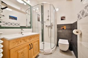 a bathroom with a shower and a toilet and a sink at Kosodrzewina - apartamenty rodzinne in Bukowina Tatrzańska +18 photos
