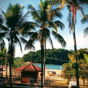 a view of a beach with palm trees at Santa Paula - Cocanha - De frente para a Praia in Caraguatatuba