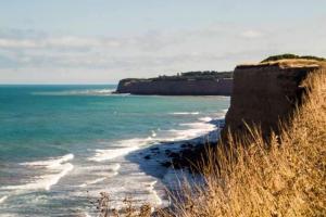 a view of a beach with the ocean and a cliff at Evergreen in Mar del Plata