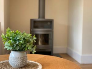 a vase with a plant on a table with a stove at Harrier Lodge in Cirencester