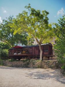 a train is parked next to a tree at Vagón Orient Express in Casas Altas