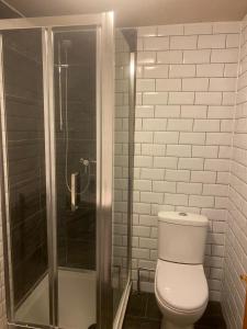La salle de bains est pourvue d'une douche et de toilettes. dans l'établissement Peaceful Place, à Mansfield