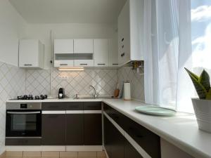 Kuchyň nebo kuchyňský kout v ubytování Balaton City Apartment + 5 fotografií