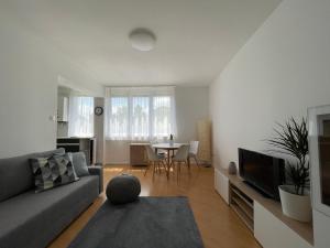 Posezení v ubytování Balaton City Apartment