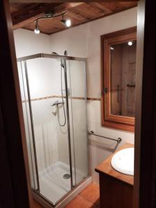 a bathroom with a glass shower and a sink at Le petit caboin in Seytroux