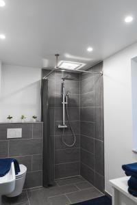 ein Badezimmer mit Dusche und Toilette in der Unterkunft Ferienwohnung Landblick in Emmelsbüll-Horsbüll