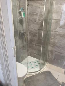 uma casa de banho com um chuveiro e um WC. em En suite bedrooms, Heaton, Newcastle em Newcastle