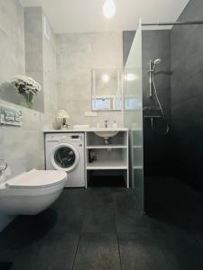 耶萊尼亞古拉的住宿－Apartamenty Mieczysława Gorzki，浴室配有卫生间水槽和洗衣机。