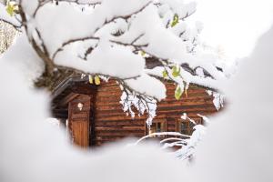 LUXURY Biochalet Charles durante el invierno