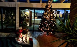 ein Weihnachtsbaum in einem Zimmer mit einem Weihnachtsbaum in der Unterkunft Relax Apartments in Castelnuovo del Garda