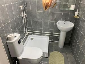 a small bathroom with a toilet and a sink at Hotel Zastava in Vladimir