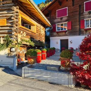 a group of potted plants in front of a building at Chesa Prema Bed & Breakfast - Restaurant in Disentis