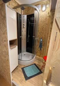 una ducha con puerta de cristal en una habitación en Studio 7, en Hoogland