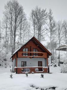 drewniany domek na śniegu z drzewami w obiekcie Котедж На Лузі w mieście Verkhne-Studënyy