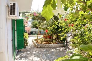 Vonkajšia záhrada v ubytovaní Babis - LOGGOS APARTMENTS + 8 fotografií