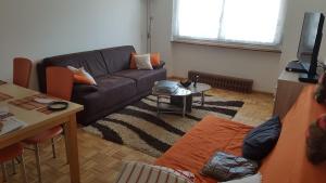 a living room with a couch and a table at F2 möblierte 2,5 Zimmer - Wohnung 60 m2 in Saint-Louis