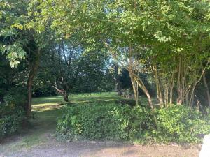 a park with trees and a field of grass at 3 bedroom bungalow set in private woodlands. in Upminster