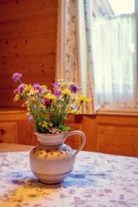 Fotografie z fotogalerie ubytování Haus Sonja v destinaci Altaussee