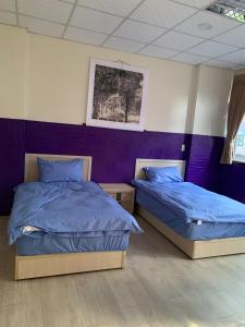 two beds in a room with purple walls at Yataku in Puli