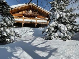a log cabin in the snow with snow covered trees at Chalet Sempre Més in Font-Romeu-Odeillo-Via