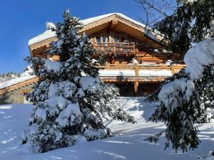 a snow covered tree in front of a log cabin at Chalet Sempre Més in Font-Romeu-Odeillo-Via