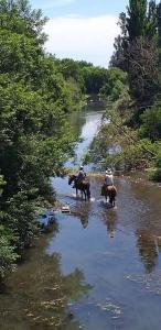 un groupe de personnes faisant du cheval à travers une rivière dans l'établissement Cabaña del Rio, à Peralillo