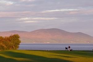two people and two dogs standing near the water at Green View Guest House in Silloth