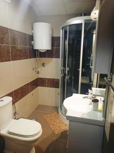 W łazience znajduje się toaleta, prysznic i umywalka. w obiekcie Apartman Zvezdica w mieście Vrnjačka Banja