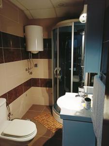 Ванная комната в Apartman Zvezdica